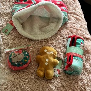 Pusheen pet box winter 2023, you get 4 items in this listing.